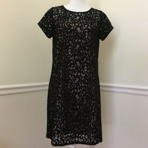Beautiful Loft Dress Size 8 T new with tags
